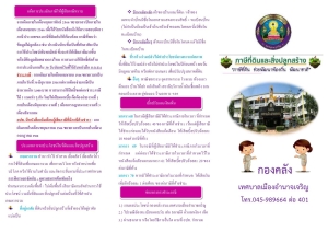 ภาษีที่ดินและสิ่งปลูกสร้าง