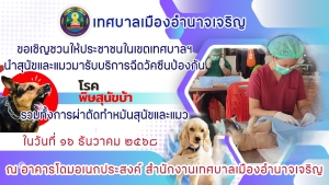 เชิญชวนให้ประชาชนในเขตเทศบาลเมืองอำนาจเจริญ นําสุนัขและแมวมารับบริการฉีดวัคซีนป้องกันโรคพิษสุนัขบ้า